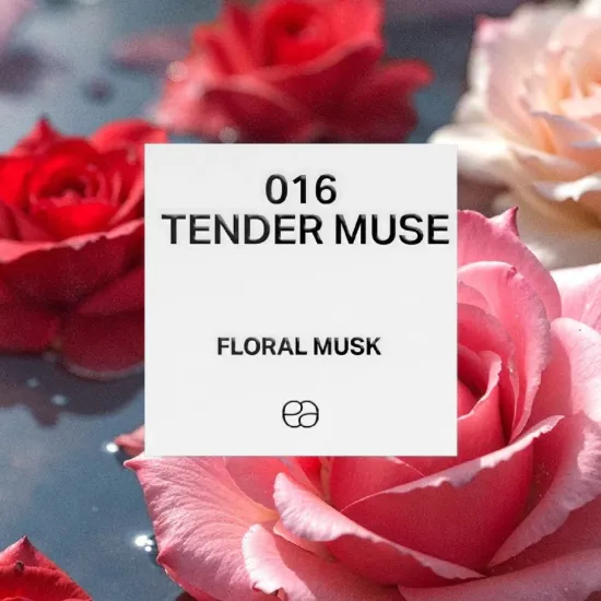 Picture of 016 Tender Muse