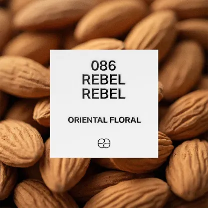 Picture of 086 Rebel Rebel